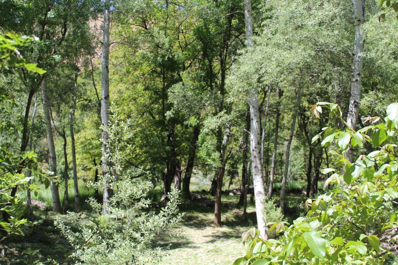 Auberge Toubkal Amsouzart Aitst Idar Tizgui Esterno foto